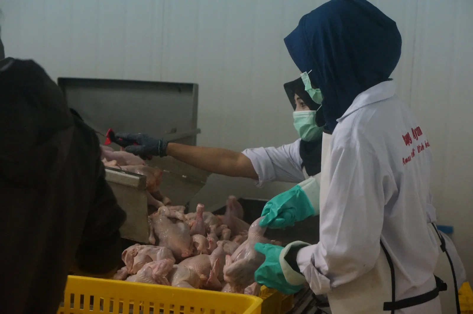 Kegiatan Produksi